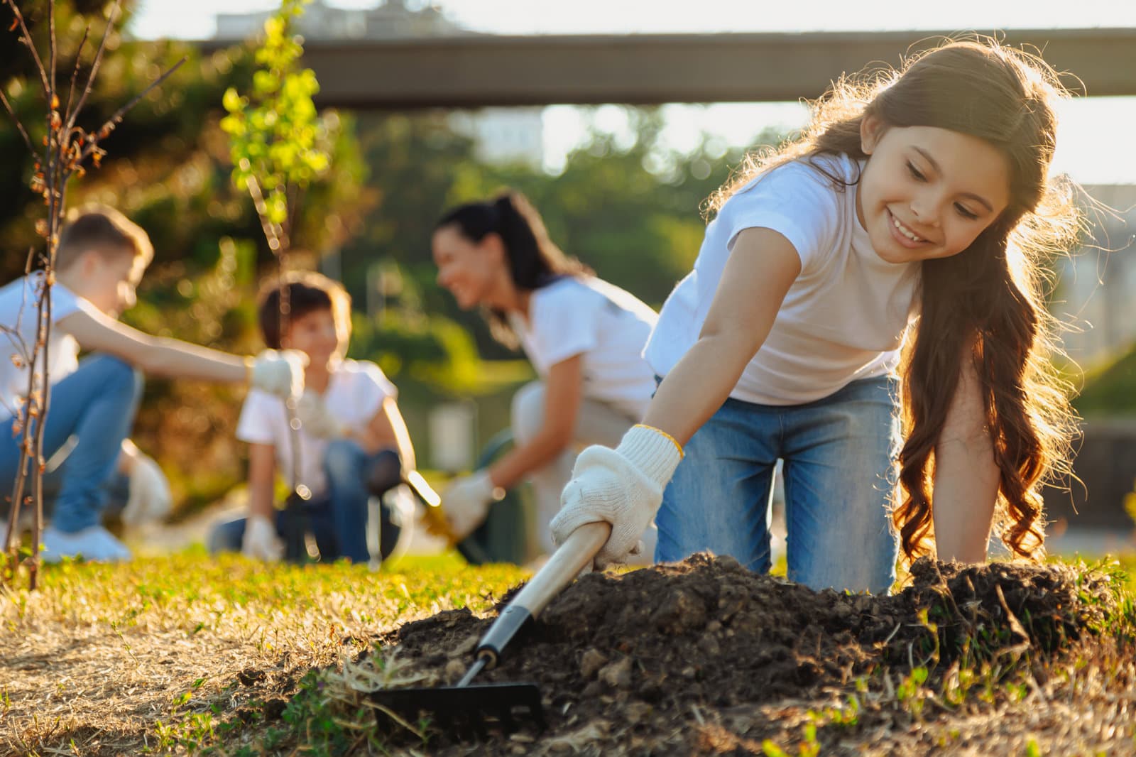 Why Is the Hans Wilsdorf Foundation Important?