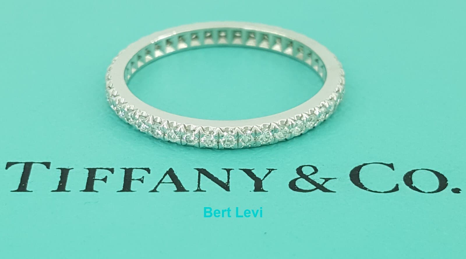 Tiffany & Co Soleste Full Circle Eternity Diamond Band Ring 0.31ct Plat Rt$4,650